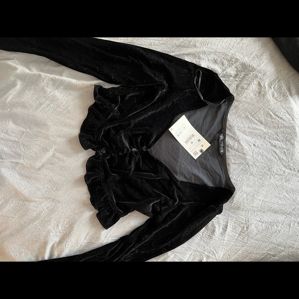 Zara suede long sleeve crop top